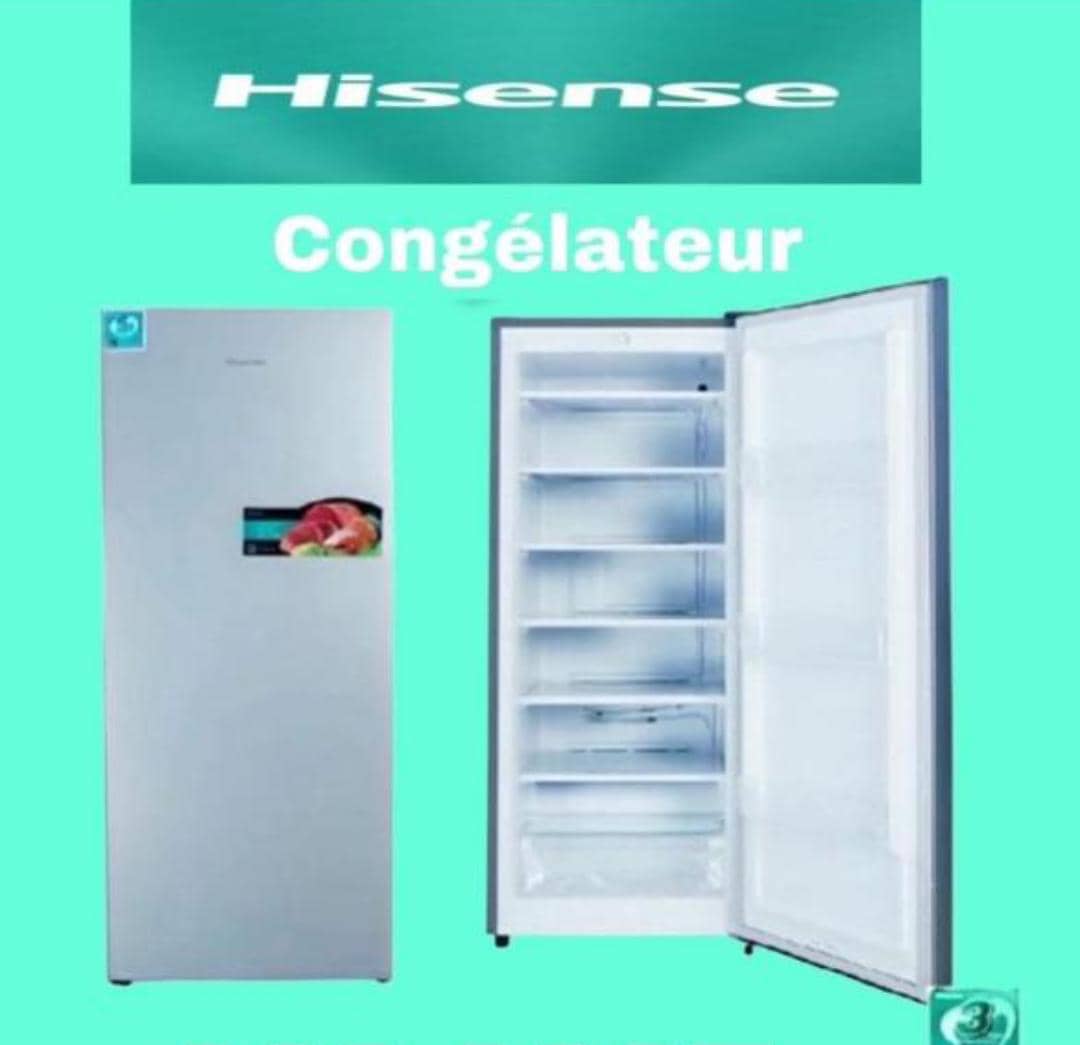 Congélateur Vertical Hisense 250 L – Puissance et Économie au Service de Votre Foyer