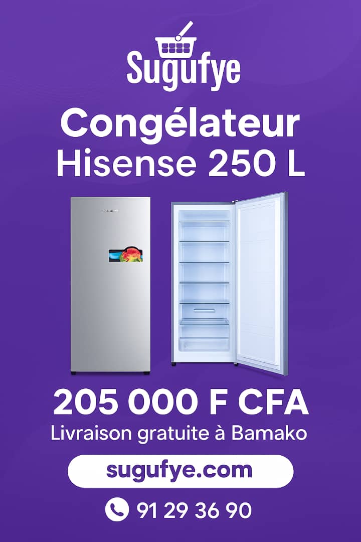 Congélateur Vertical Hisense 250 L – Puissance et Économie au Service de Votre Foyer