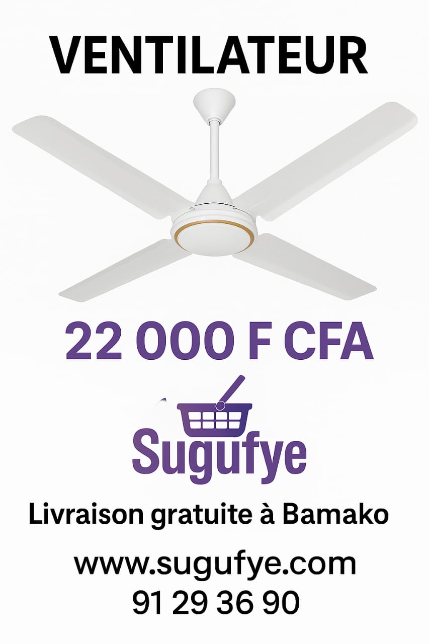 🌬️ Ventilateur de Plafond Roch RCLF-5601