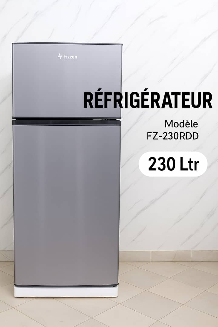 Réfrigérateur Fizzen 230 L – Modèle FZ-230RDD