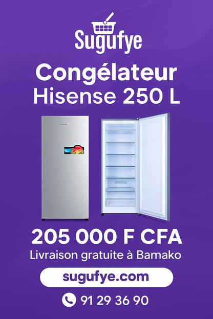 Congélateur Vertical Hisense 250 L – Puissance et Économie au Service de Votre Foyer