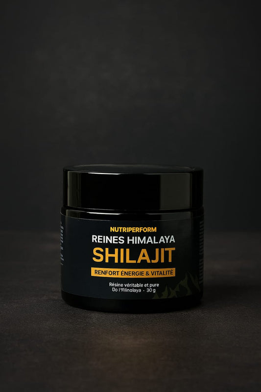 🌿 SHILAJIT Pur – Reines Himalaya
