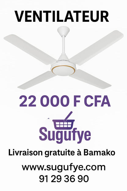 🌬️ Ventilateur de Plafond Roch RCLF-5601